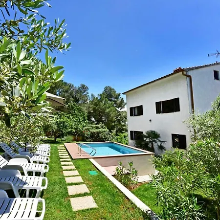 فيلة House Max *