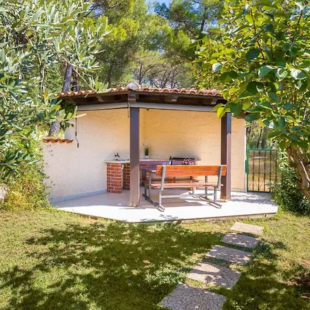 فيلة House Max *