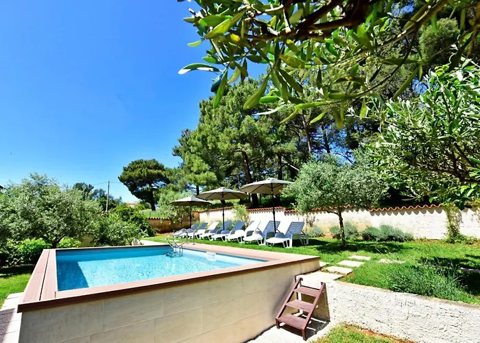House Max Villa