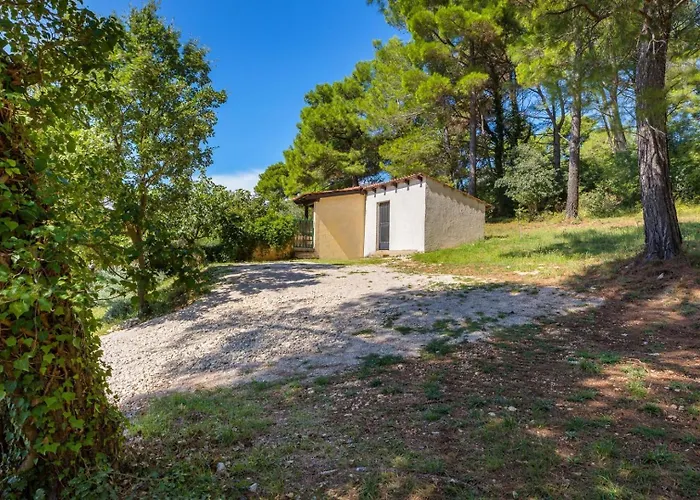 House Max Villa Mugeba