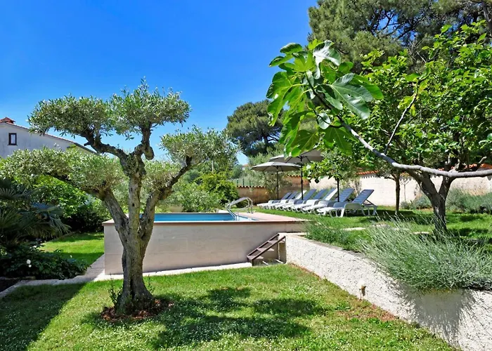 House Max Mugeba