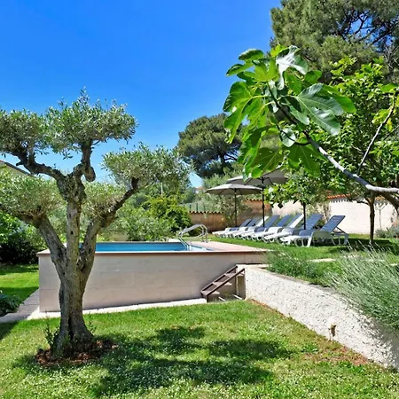 House Max * Mugeba