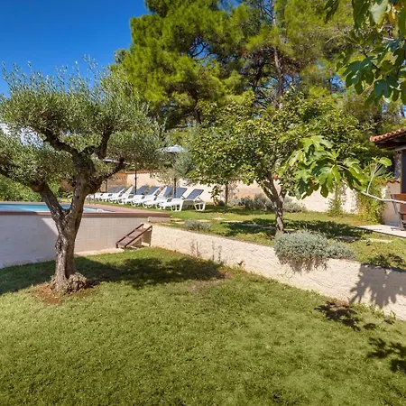 House Max Вилла *