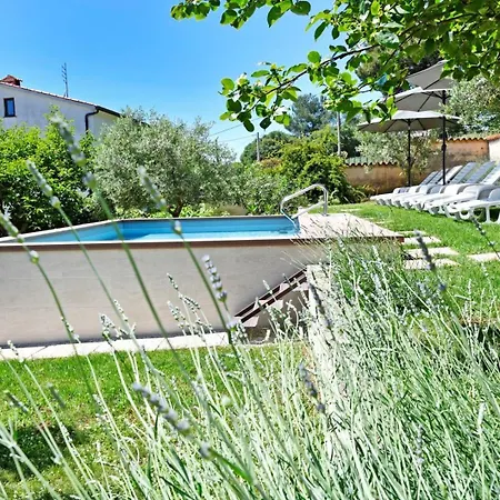 House Max * Mugeba